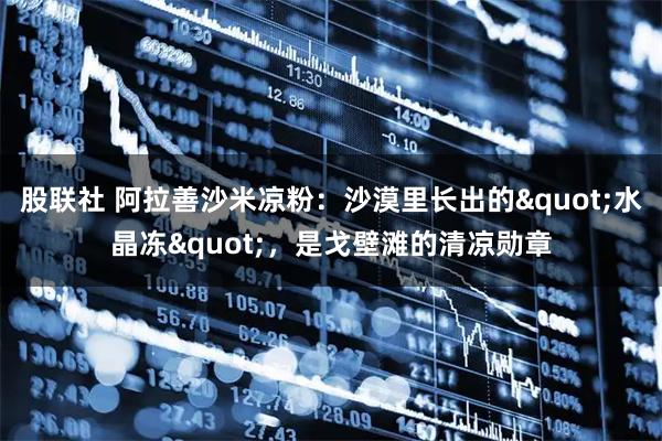 股联社 阿拉善沙米凉粉：沙漠里长出的"水晶冻"，是戈壁滩的清凉勋章