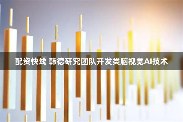 配资快线 韩德研究团队开发类脑视觉AI技术