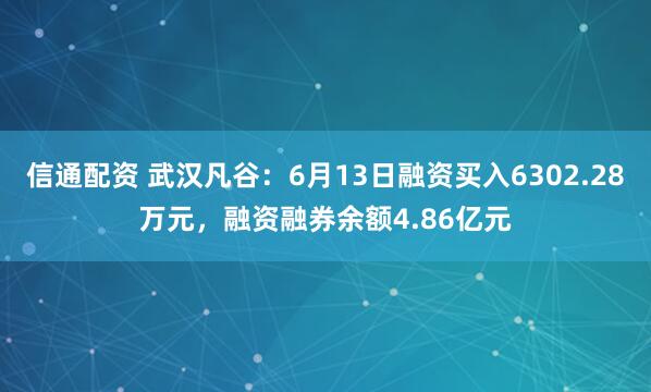 信通配资 武汉凡谷：6月13日融资买入6302.28万元，融资融券余额4.86亿元