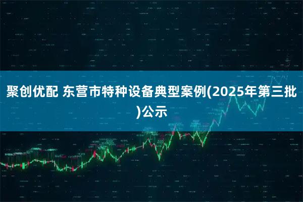 聚创优配 东营市特种设备典型案例(2025年第三批)公示