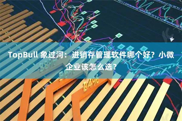 TopBull 象过河:进销存管理软件哪个好?小微企业该怎么选?