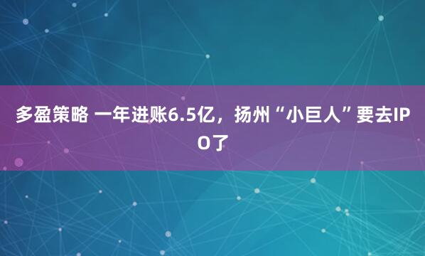 多盈策略 一年进账6.5亿,扬州“小巨人”要去IPO了